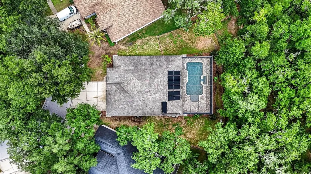 6135 Whimbrelwood Drive Lithia FL 33547
