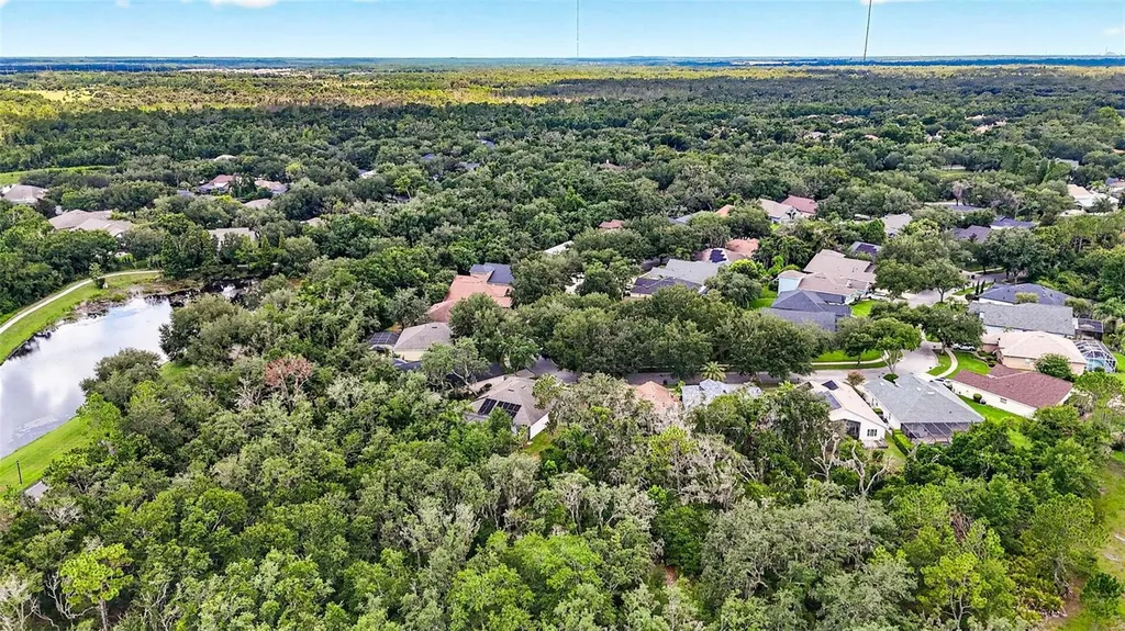 6135 Whimbrelwood Drive Lithia FL 33547