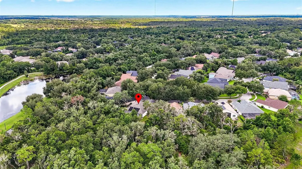 6135 Whimbrelwood Drive Lithia FL 33547