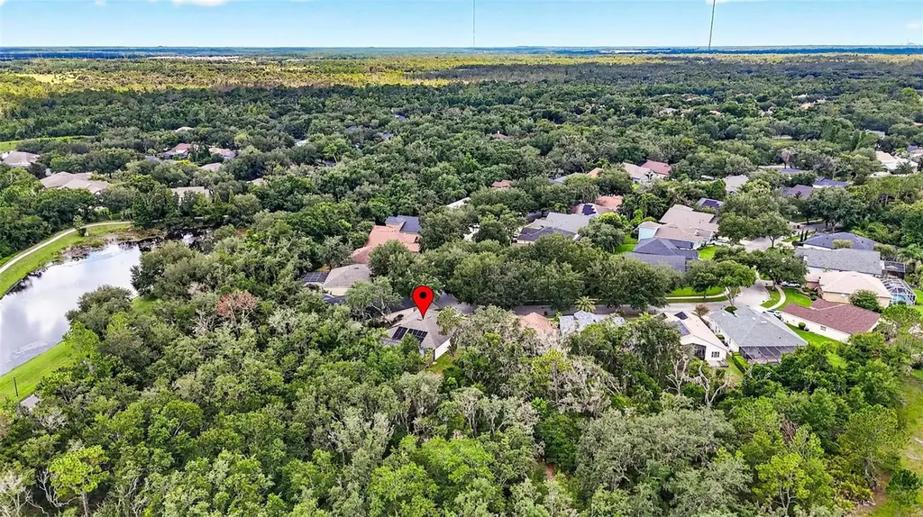 6135 Whimbrelwood Drive Lithia FL 33547