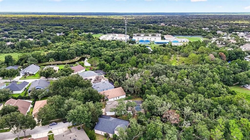 6135 Whimbrelwood Drive Lithia FL 33547