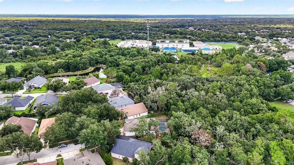 6135 Whimbrelwood Drive Lithia FL 33547