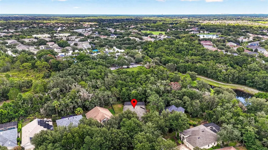 6135 Whimbrelwood Drive Lithia FL 33547