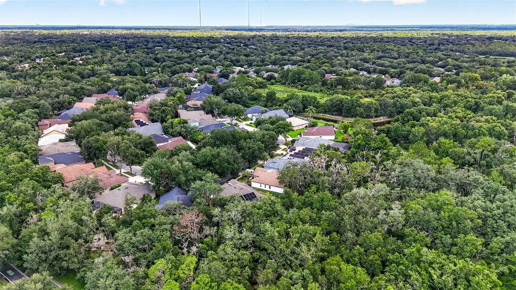 6135 Whimbrelwood Drive Lithia FL 33547