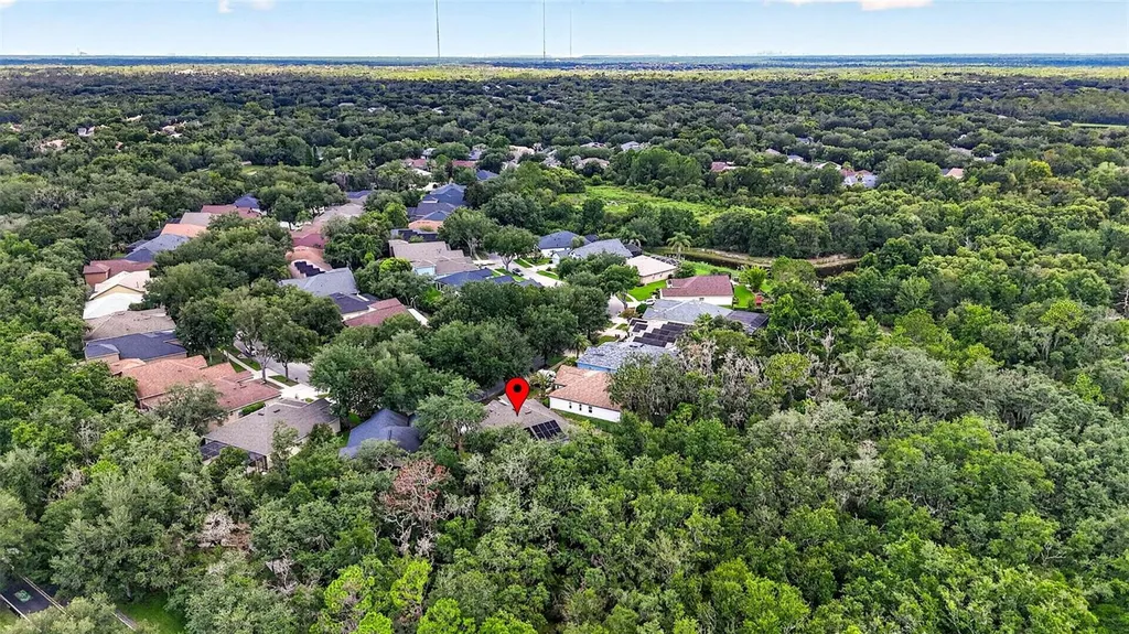 6135 Whimbrelwood Drive Lithia FL 33547