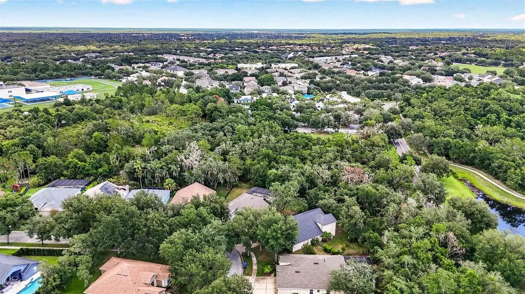 6135 Whimbrelwood Drive Lithia FL 33547