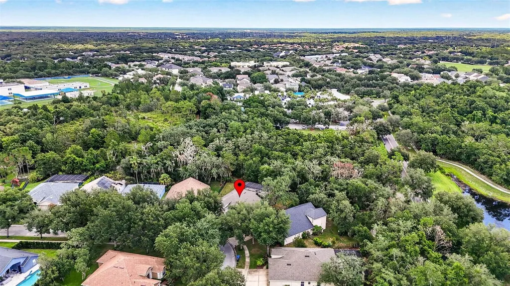 6135 Whimbrelwood Drive Lithia FL 33547