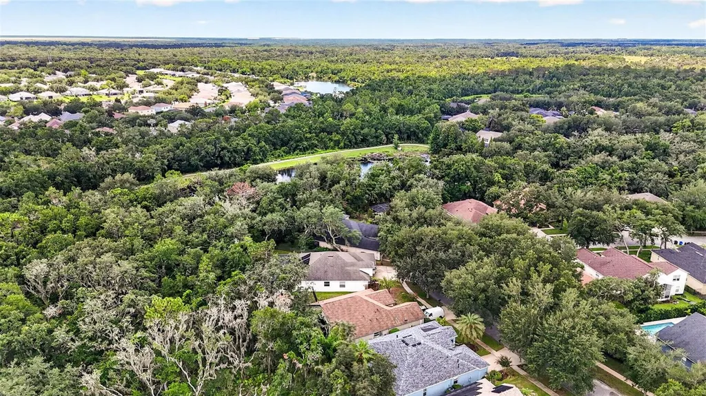 6135 Whimbrelwood Drive Lithia FL 33547