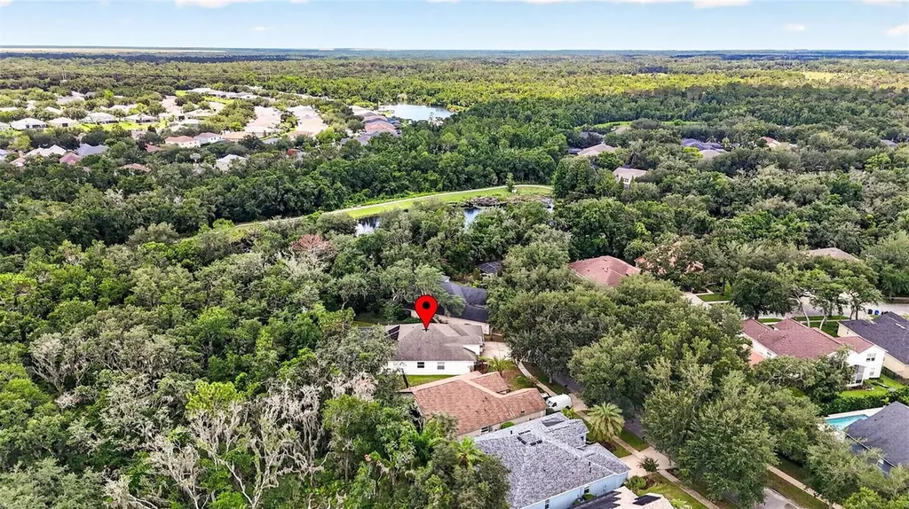 6135 Whimbrelwood Drive Lithia FL 33547