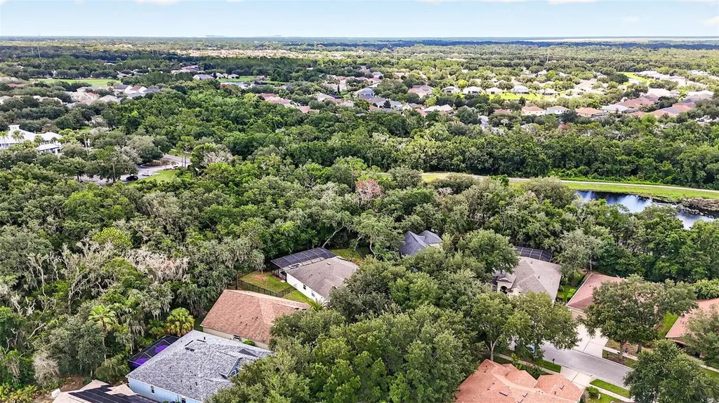 6135 Whimbrelwood Drive Lithia FL 33547