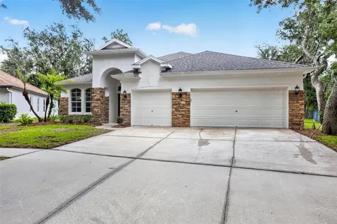 6135 Whimbrelwood Drive Lithia FL 33547