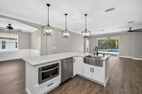 6135 Whimbrelwood Drive Lithia FL 33547