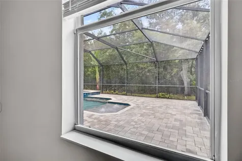 6135 Whimbrelwood Drive Lithia FL 33547