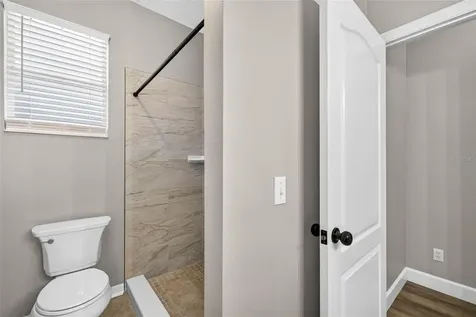 6135 Whimbrelwood Drive Lithia FL 33547