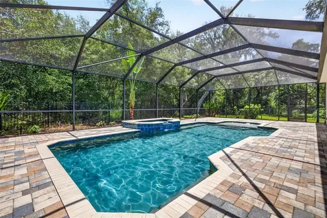6135 Whimbrelwood Drive Lithia FL 33547