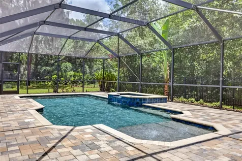 6135 Whimbrelwood Drive Lithia FL 33547