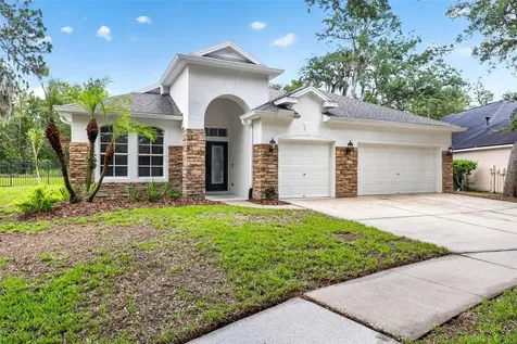 6135 Whimbrelwood Drive Lithia FL 33547