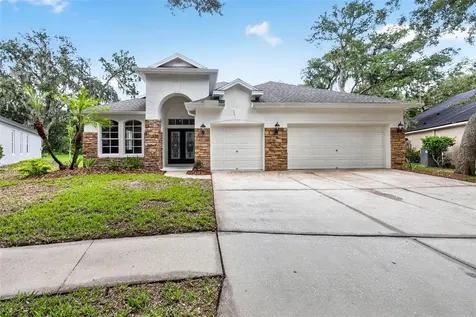 6135 Whimbrelwood Drive Lithia FL 33547