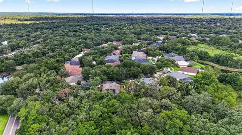 6135 Whimbrelwood Drive Lithia FL 33547