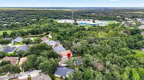 6135 Whimbrelwood Drive Lithia FL 33547