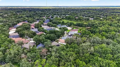6135 Whimbrelwood Drive Lithia FL 33547