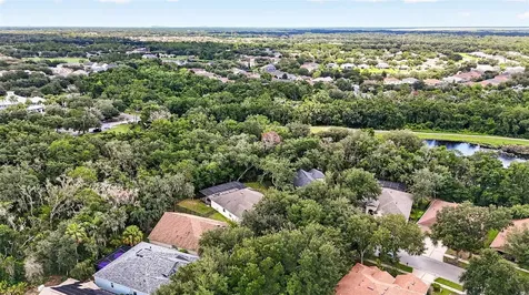 6135 Whimbrelwood Drive Lithia FL 33547