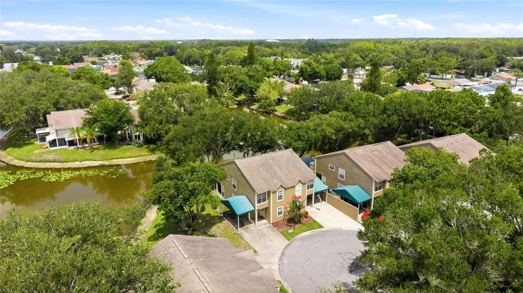 9044 Lake Place Lane Tampa FL 33634