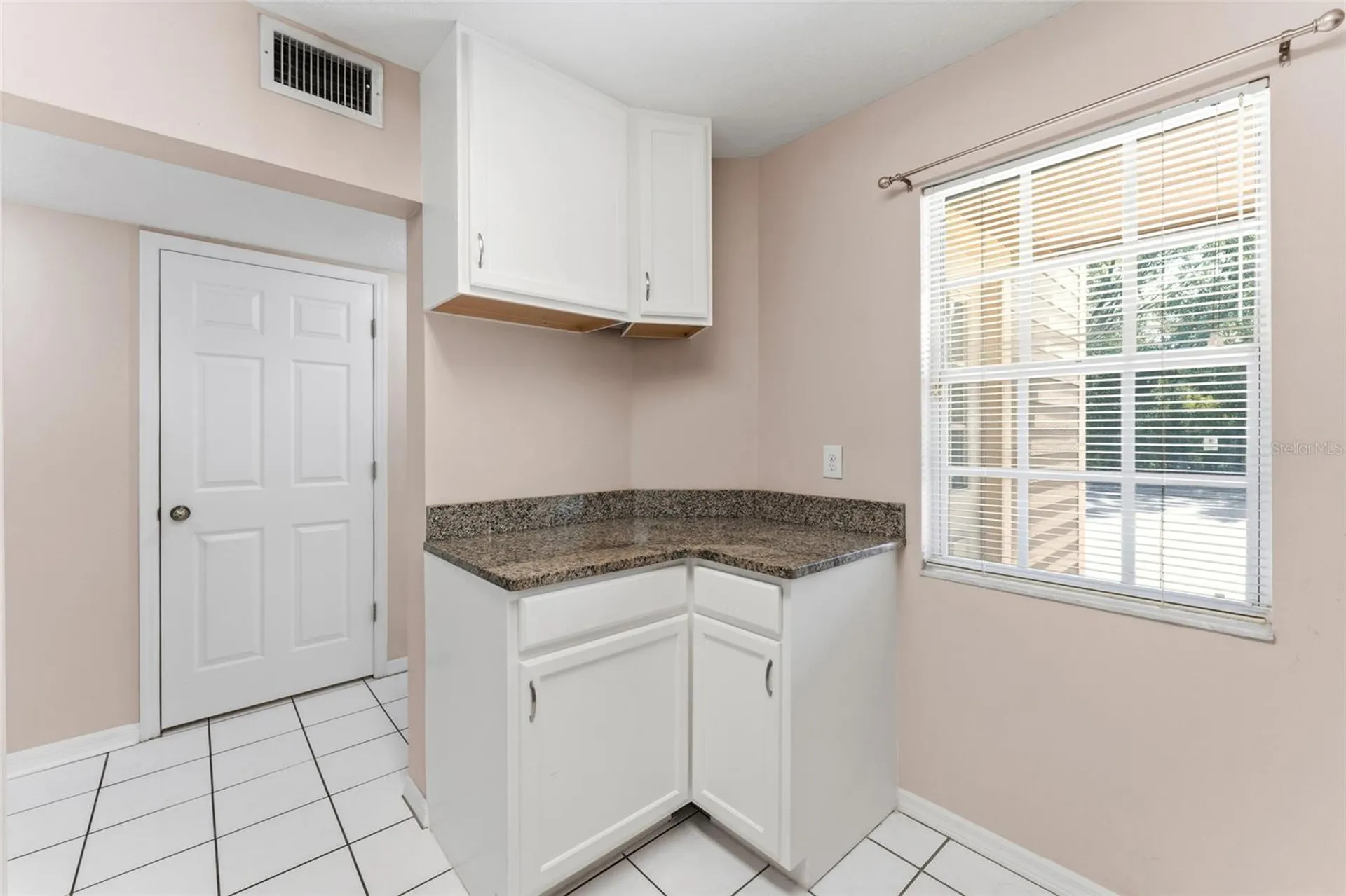 9044 Lake Place Lane Tampa FL 33634