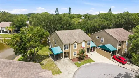 9044 Lake Place Lane Tampa FL 33634