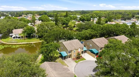 9044 Lake Place Lane Tampa FL 33634