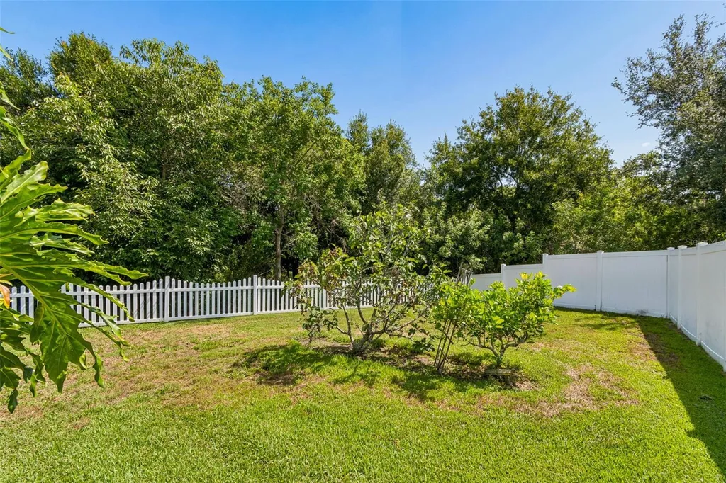 5304 Clouds Peak Drive Lutz FL 33558