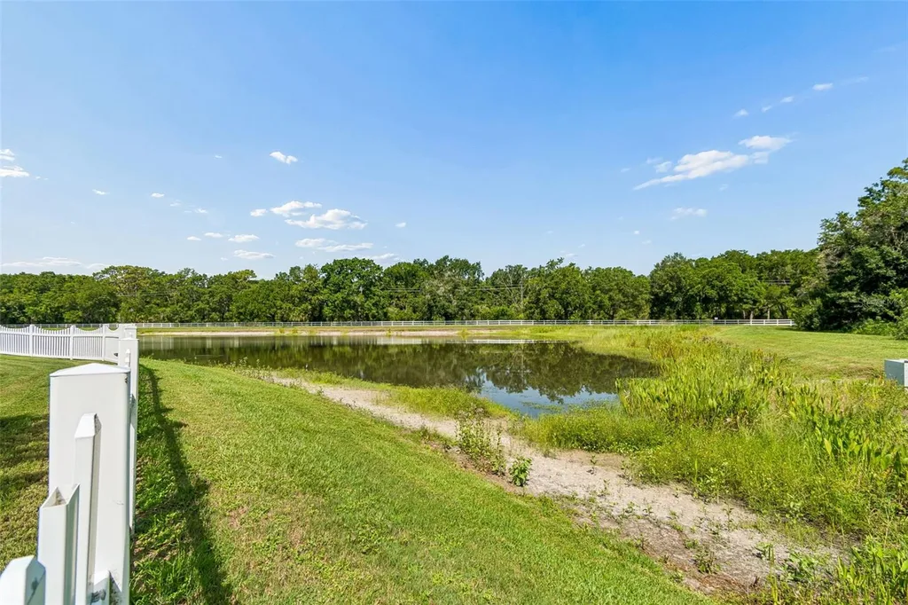 5304 Clouds Peak Drive Lutz FL 33558
