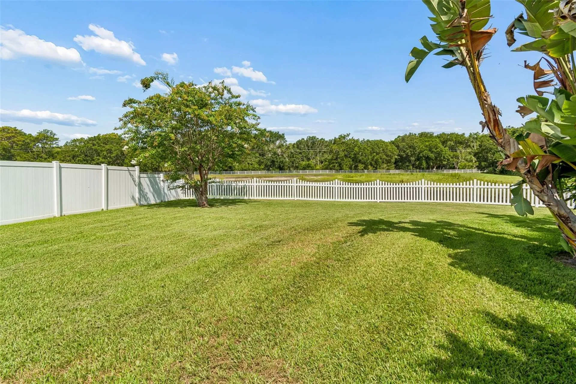 5304 Clouds Peak Drive Lutz FL 33558