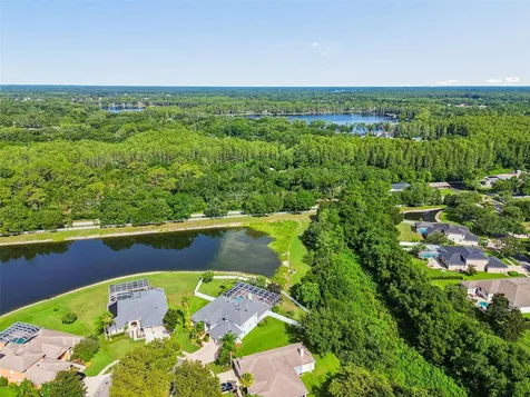 5304 Clouds Peak Drive Lutz FL 33558