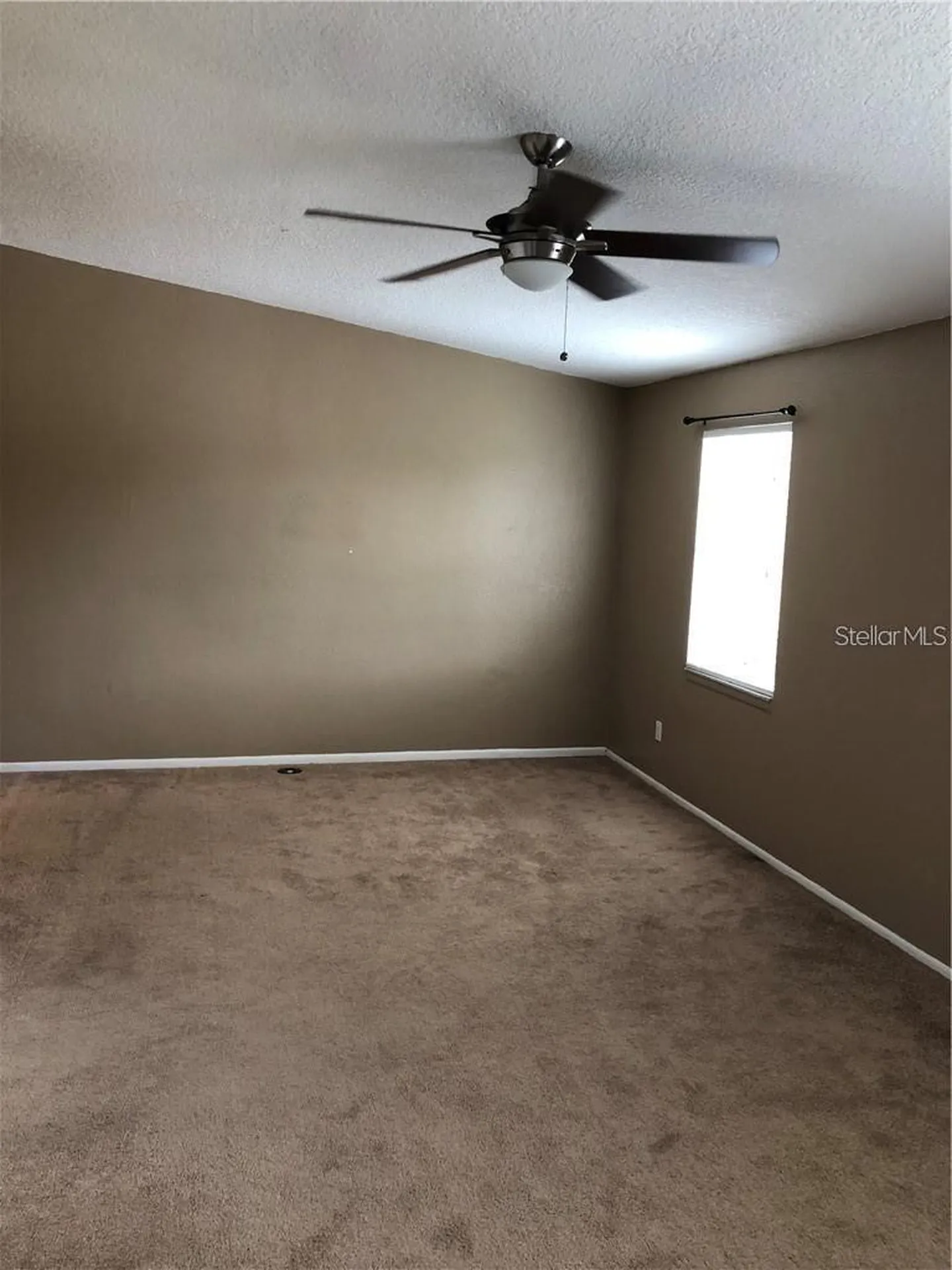 5453 Sweetwater Terrace Circle Tampa FL 33634