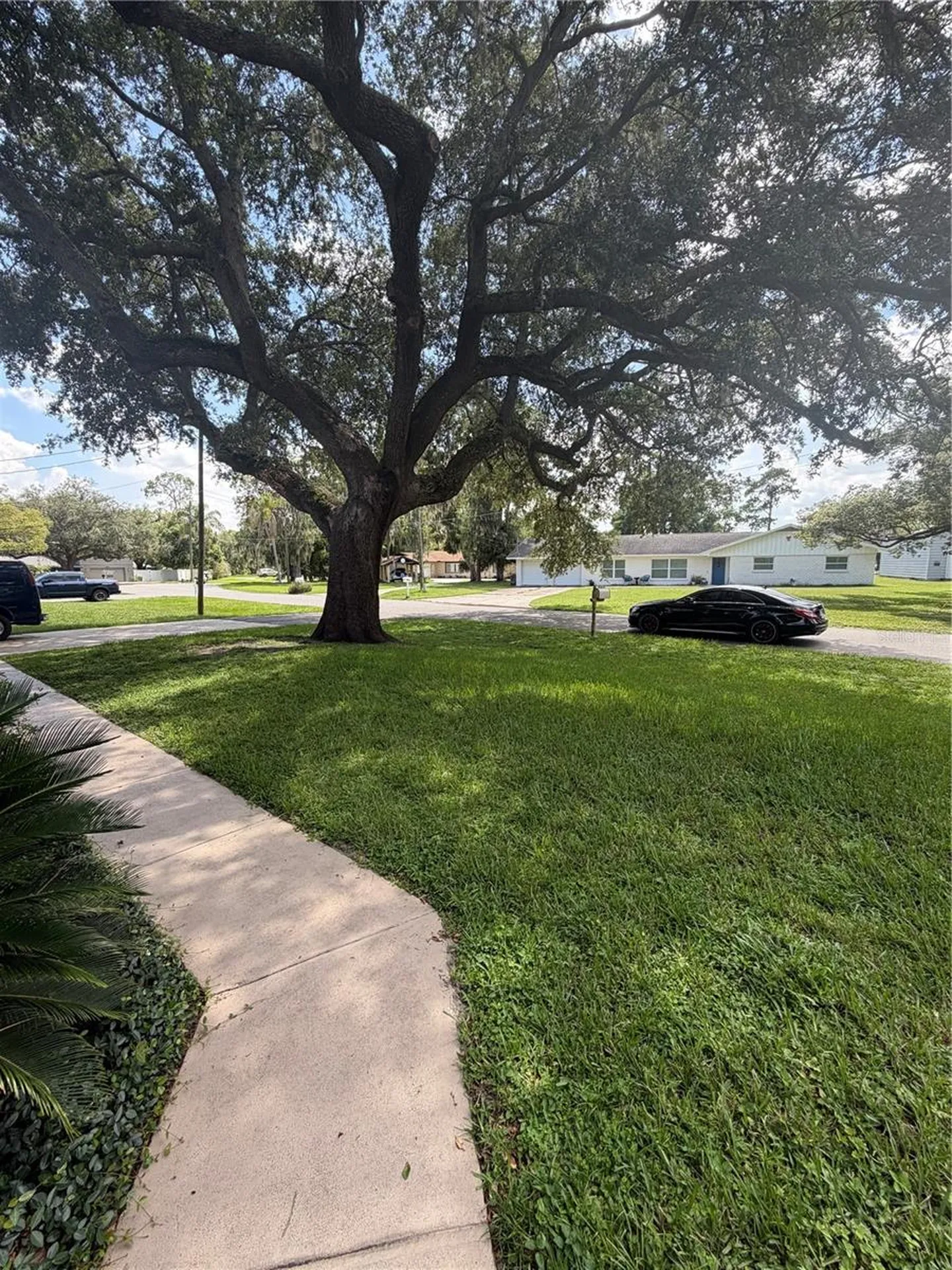 5915 Sheryl Anita Street Oviedo FL 32765