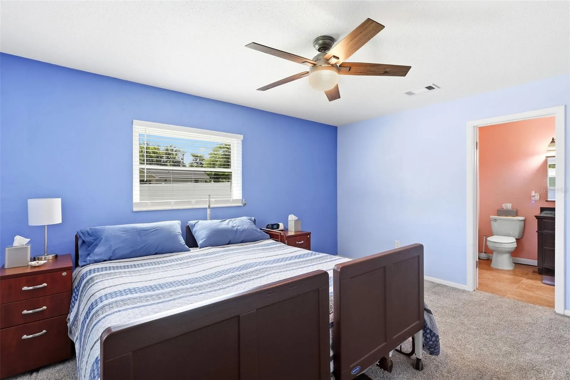 411 S Brooks Avenue Deland FL 32720