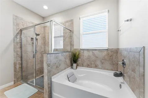 12530 Candleberry Circle Tampa FL 33635