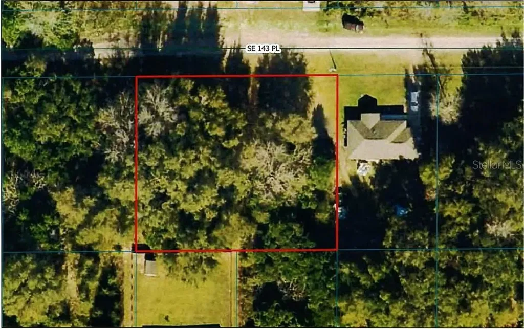 Tbd SE 143rd Place Summerfield FL 34491