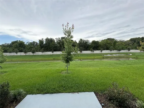 4460 Rachel Falls Drive Tampa FL 33610