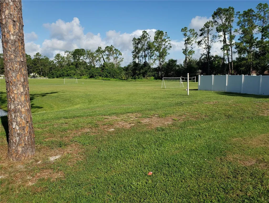22706 Gage Loop Land O Lakes FL 34639