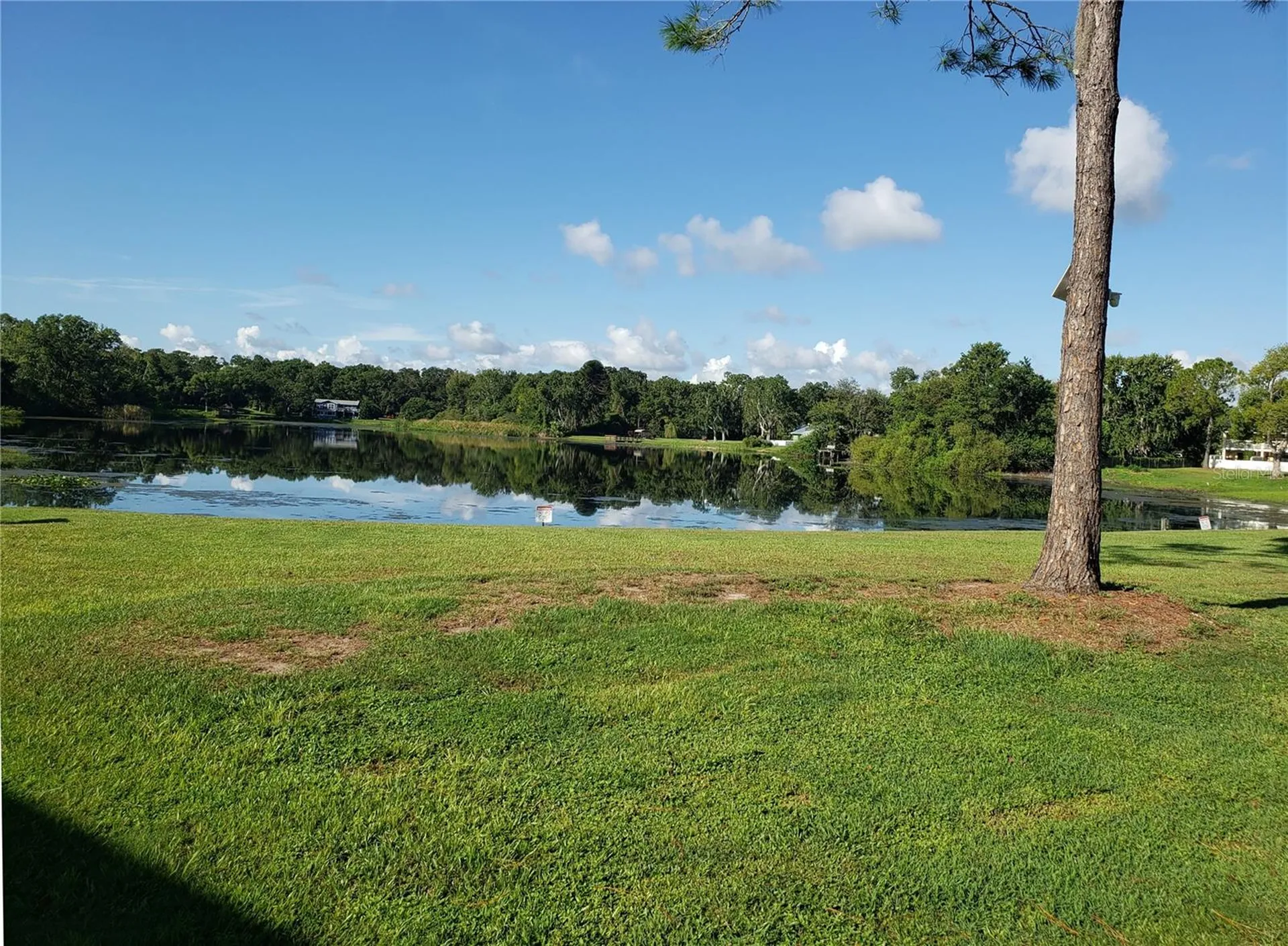 22706 Gage Loop Land O Lakes FL 34639