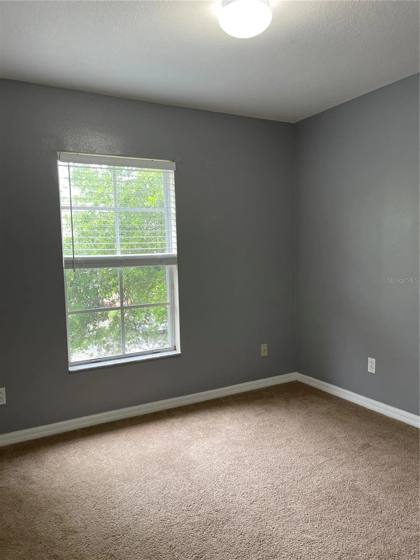 12910 Jessup Watch Place Riverview FL 33579