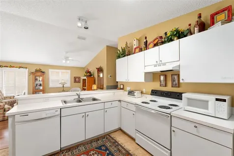 2734 Moncayo Avenue The Villages FL 32162