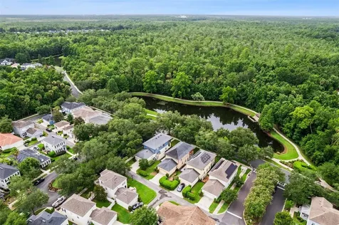 1017 Old Blush Road Kissimmee FL 34747