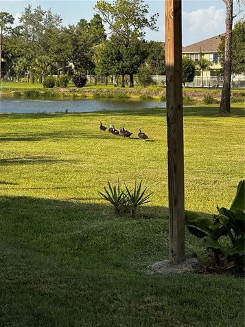 8235 Burgundy Drive N Pinellas Park FL 33781