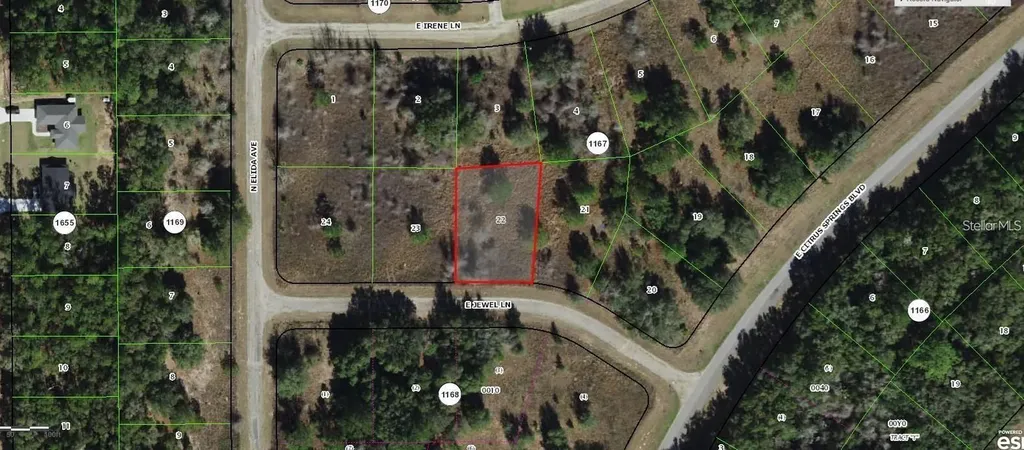 599 E Jewel Lane Dunnellon FL 34434