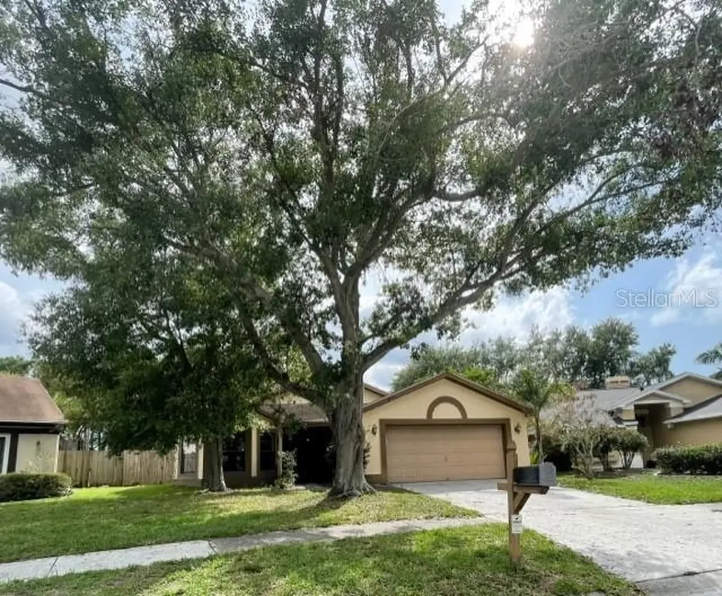 1520 Attleboro Lane Brandon FL 33511