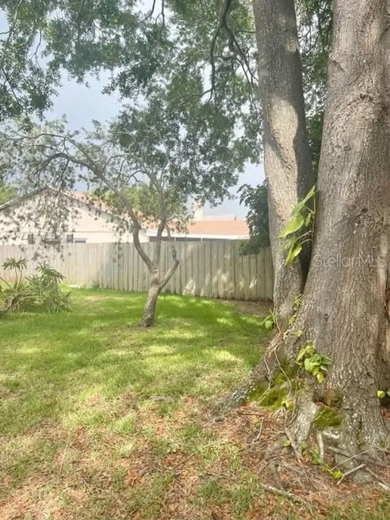 1520 Attleboro Lane Brandon FL 33511