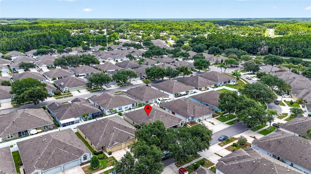 19355 Haskell Place Land O Lakes FL 34638